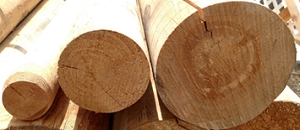 2 Inch x 90 Inch Round Pine Wood Poles